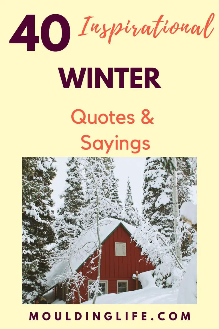 Inspirational Winter Quotes