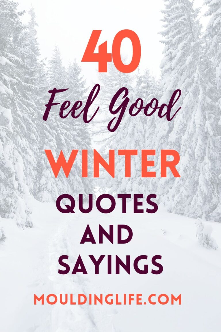 40 Inspirational Winter Quotes To Warm Your Heart Moulding Life