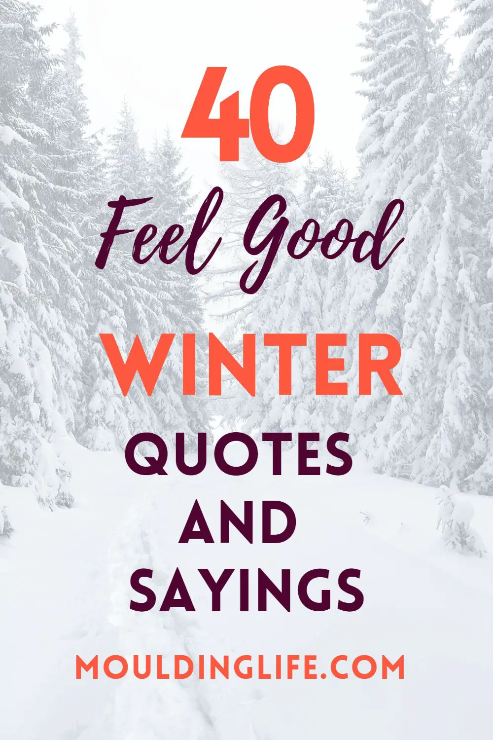 40 Feel Good Winter Quotes and Sayings - Moulding Life