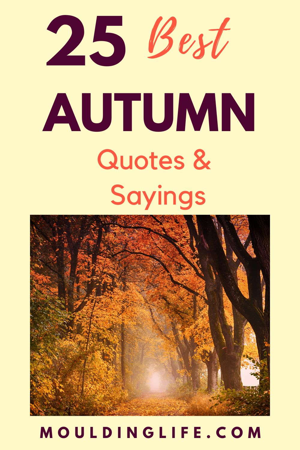 25 Best Autumn Quotes and Sayings for the Fall Season - Moulding Life