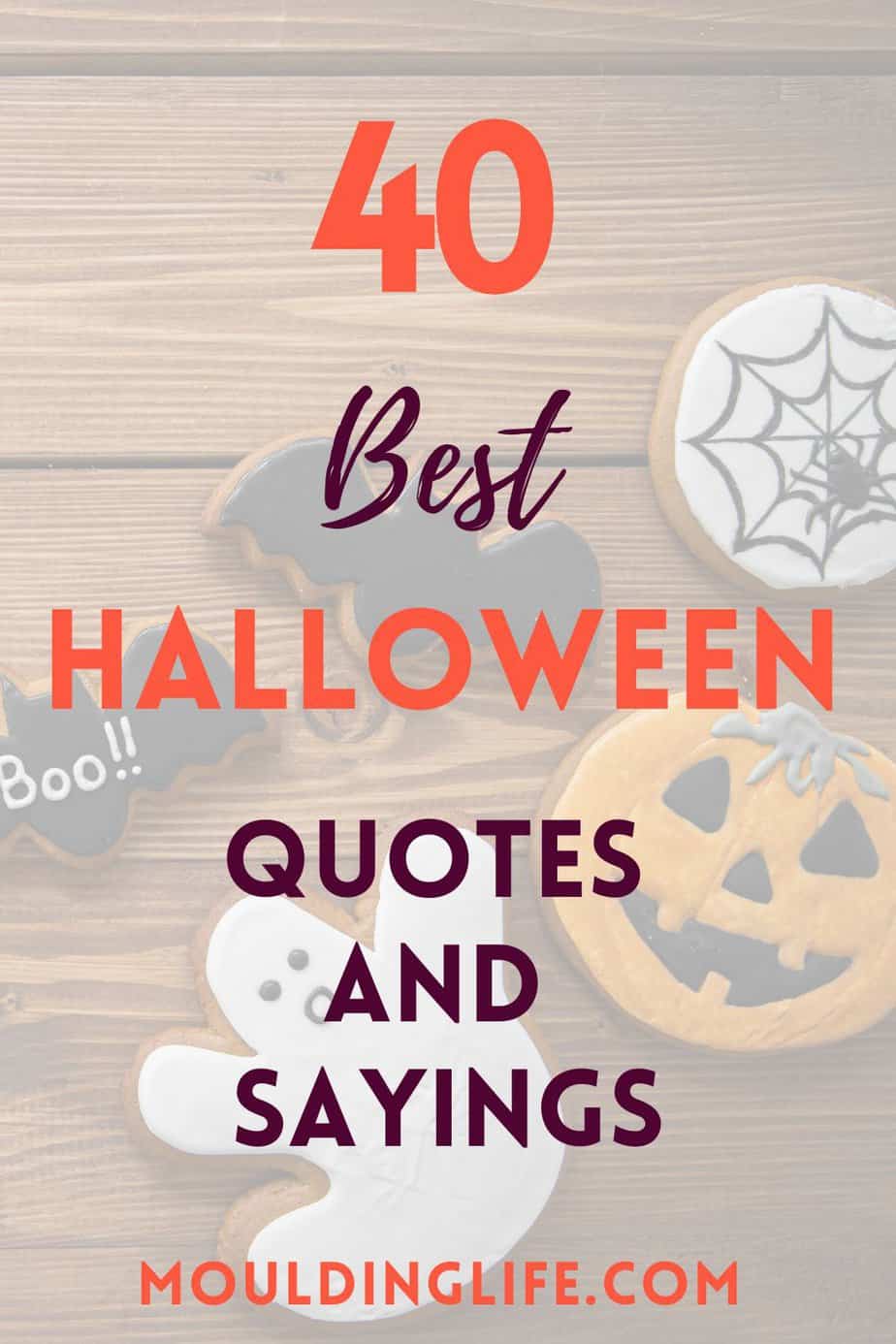 40 Best Halloween Quotes and Sayings - Moulding Life