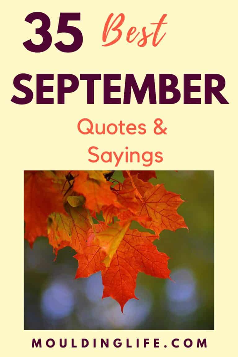 Best September quotes