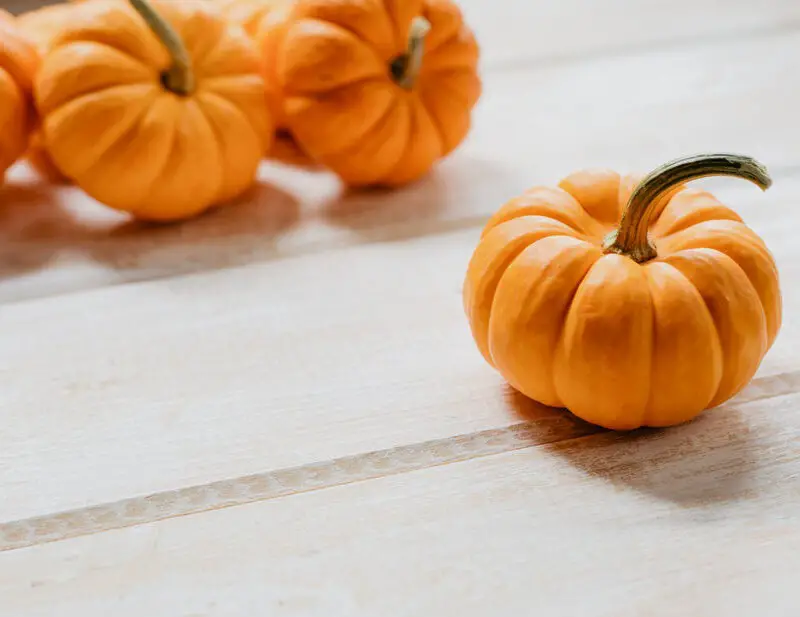 20 Inspirational Happy October Quotes and Sayings