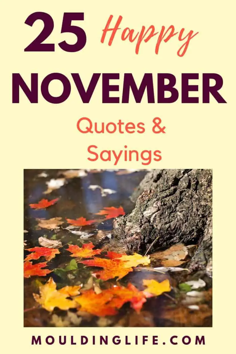 Inspirational hello November quotes