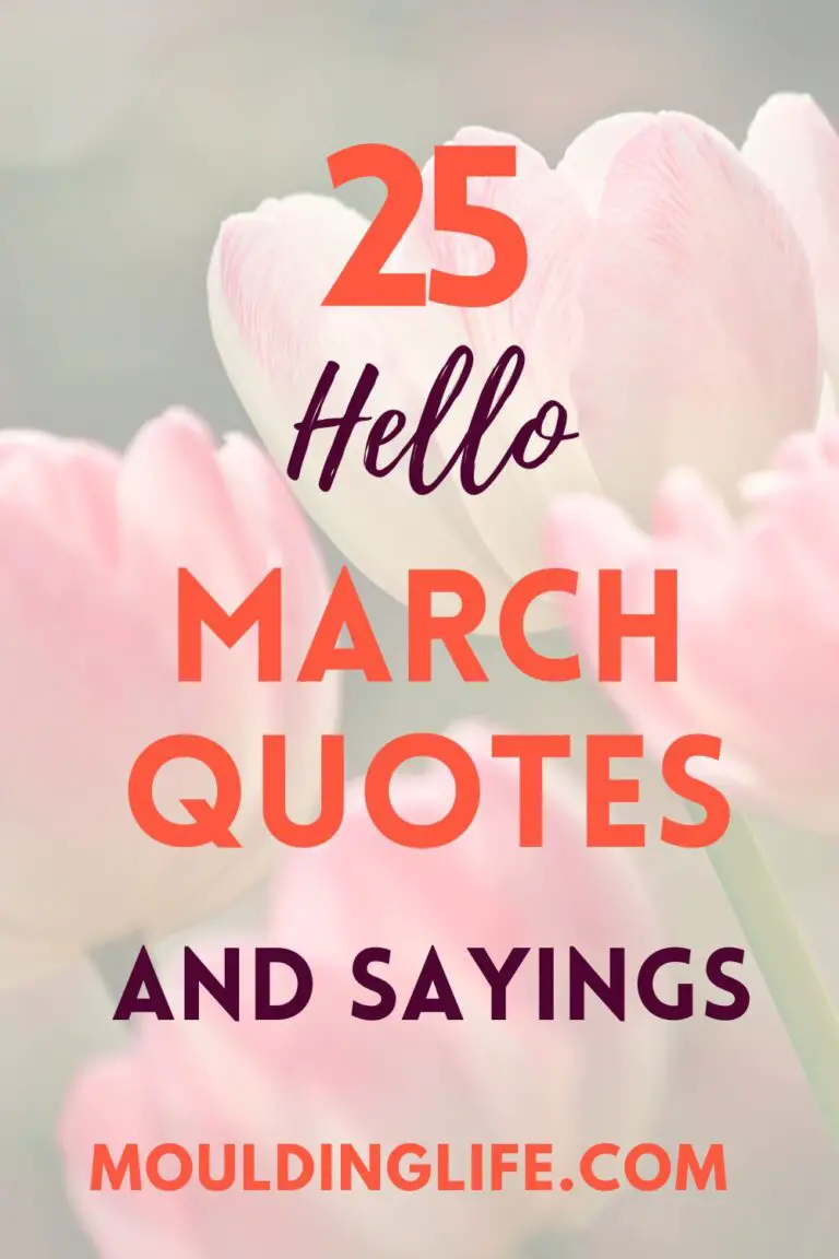 hello march quotes