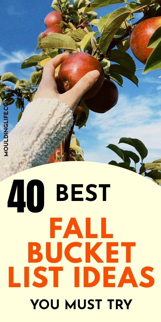 FALL BUCKET LIST IDEAS