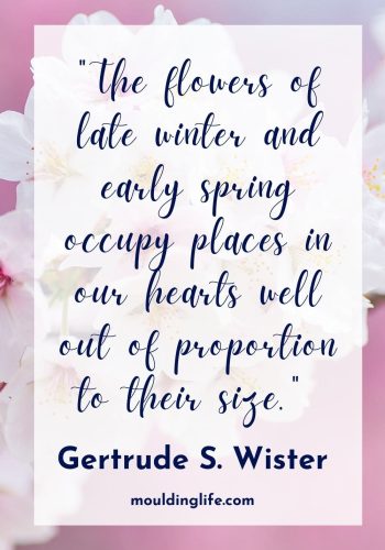 30 Happy Spring Quotes - Moulding Life