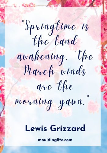 30 Happy Spring Quotes - Moulding Life