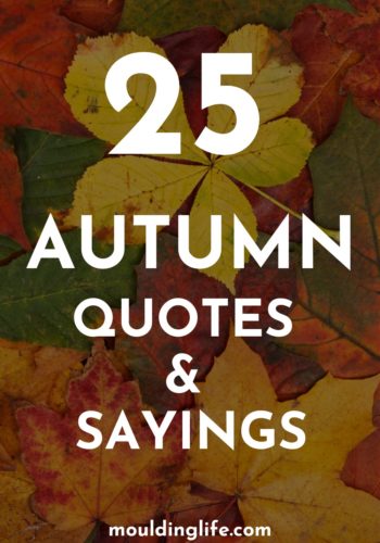 25 Feel Good Autumn Quotes and Sayings - Moulding Life